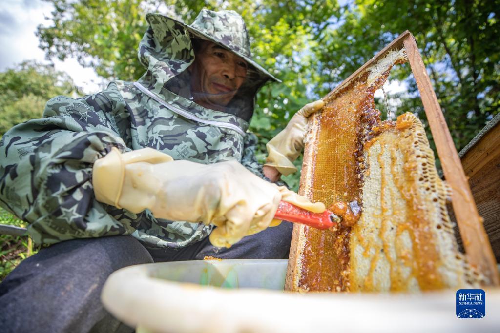 ky棋牌网